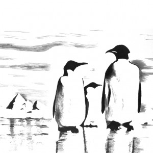 Penguins              