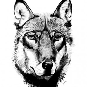 Wolf head            