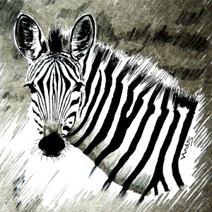 Zebra           